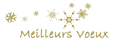 Meilleurs-voeux